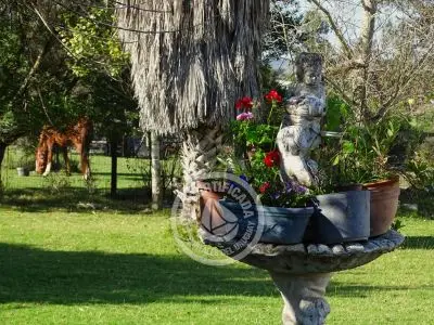 Casa Chacra Milena Piriápolis