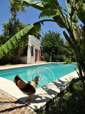 Casa Chacra Milena Piriápolis