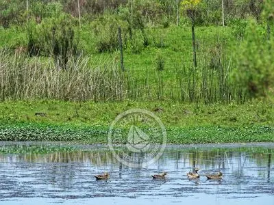 Casa Chacra Milena Piriápolis