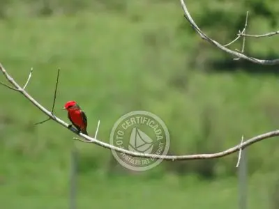 Casa Chacra Milena Piriápolis