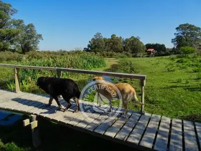 Casa Chacra Milena Piriápolis