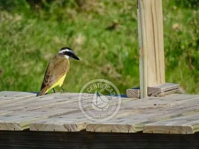 Casa Chacra Milena Piriápolis