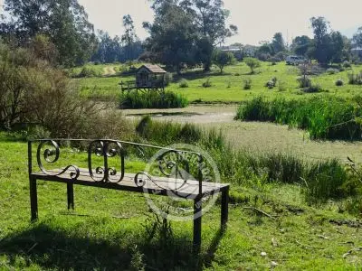 Casa Chacra Milena Piriápolis