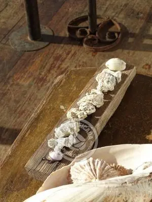 House Eco Casa Container - Atlántica Atlántica