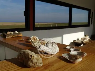 House Eco Casa Container - Atlántica Atlántica