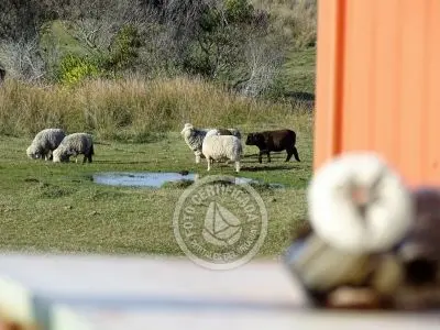 House Eco Casa Container - Atlántica Atlántica