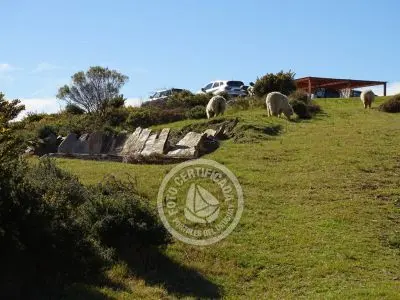 El Portal de los Ombúes - Lavalleja