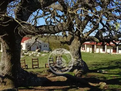 El Portal de los Ombúes - Lavalleja