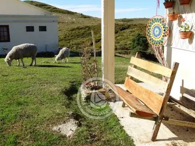El Portal de los Ombúes - Lavalleja