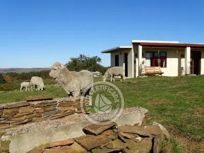 El Portal de los Ombúes - Lavalleja