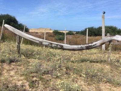 House  Solitaria y tranquila Atlántica