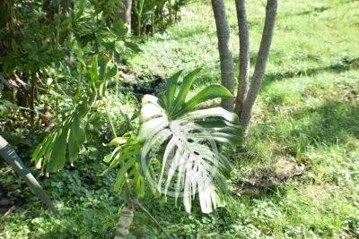 House Las Tabloneras - Casas de Playa La Paloma