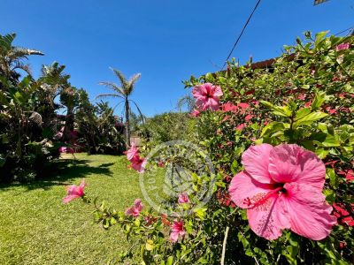 Villa Zanja Honda La Paloma