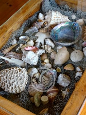 Luz Interior - Cabaña Luz interior - Punta del Diablo