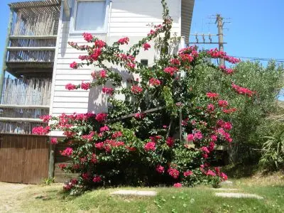 Cabin Luz interior - Cabaña Punta del Diablo