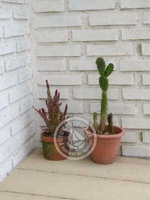 Luz Interior - Casona Luz interior - Punta del Diablo