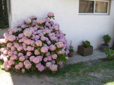 Cabin Luz interior - Casona Punta del Diablo