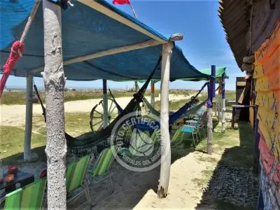 Corazon de ballena - Cabo Polonio