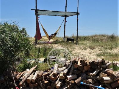 Corazon de ballena - Cabo Polonio
