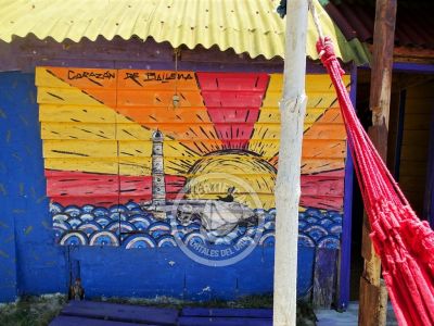 Corazon de ballena - Cabo Polonio