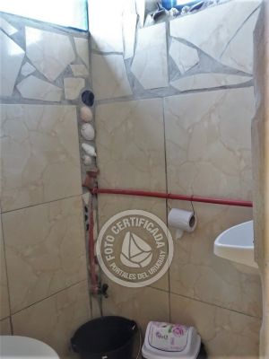 Corazon de ballena - Cabo Polonio