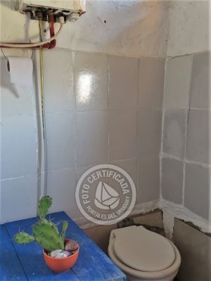 Corazon de ballena - Cabo Polonio