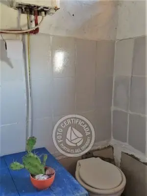 Corazon de ballena - Cabo Polonio