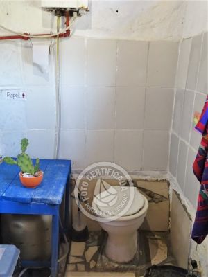 Corazon de ballena - Cabo Polonio