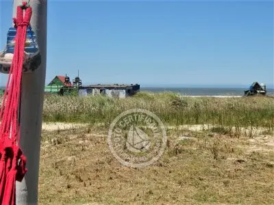 Corazon de ballena - Cabo Polonio