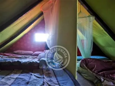 Corazon de ballena - Cabo Polonio