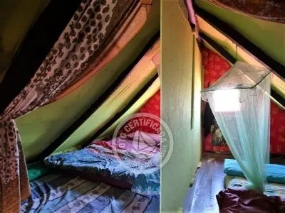 Corazon de ballena - Cabo Polonio