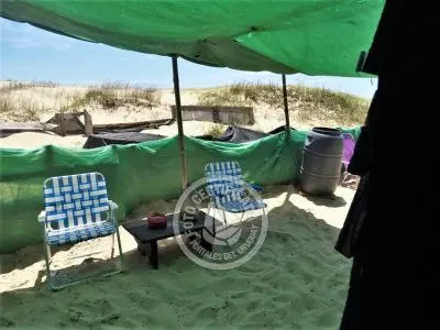 Corazon de ballena - Cabo Polonio