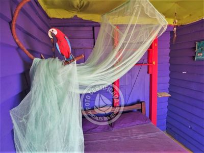 Corazon de ballena - Cabo Polonio