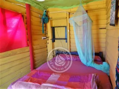 Corazon de ballena - Cabo Polonio