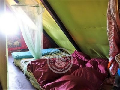 Corazon de ballena - Cabo Polonio