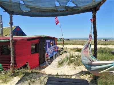 Corazon de ballena - Cabo Polonio