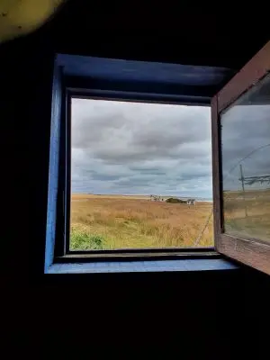 Corazon de ballena - Cabo Polonio