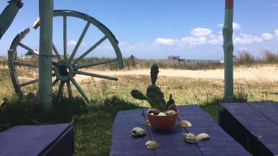 Corazon de ballena - Cabo Polonio