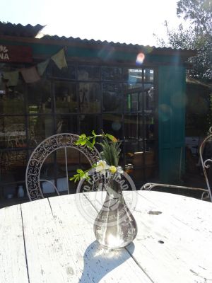 Pousada do Campo Octógono Om Shanti Villa Serrana