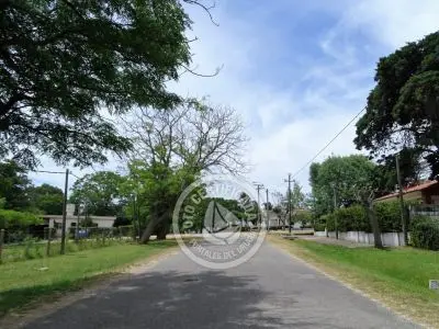 Araminda - Costa de Oro - Localidad