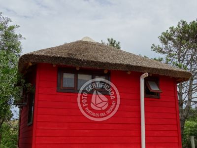 Mar Gordo - Coral - Punta del Diablo