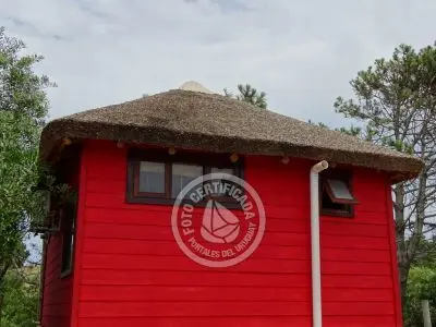 Mar Gordo - Coral - Punta del Diablo