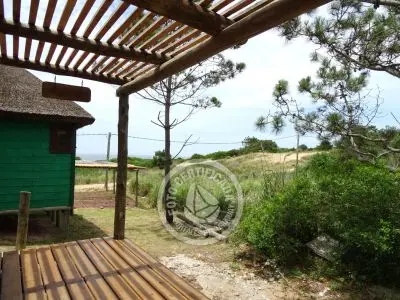 Mar Gordo - Coral - Punta del Diablo
