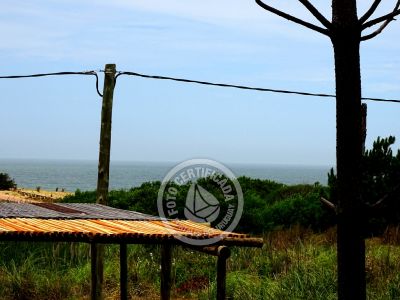 Mar Gordo - Coral - Punta del Diablo