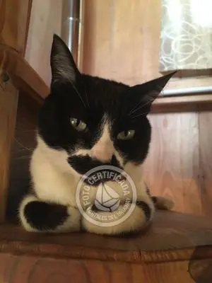 Pousada Casa Mada La Paloma