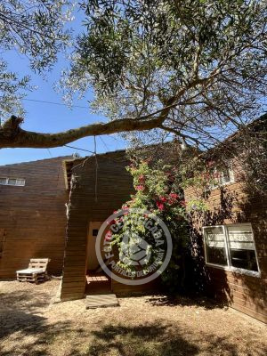 El Mangrullo 2 - Valizas