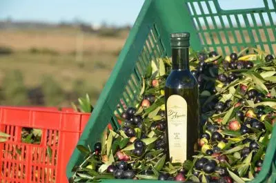 Don Alejandro - Aceite de Oliva - Sierras del Penitente