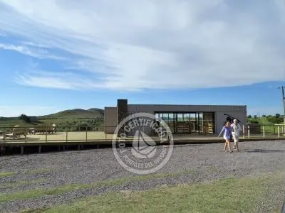 Don Alejandro - Aceite de Oliva - Sierras del Penitente