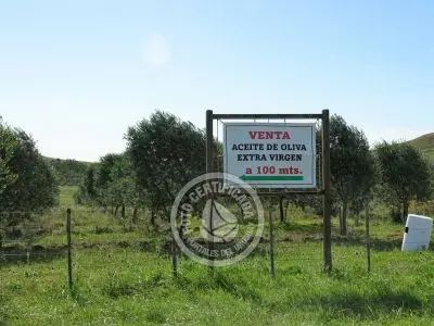 Don Alejandro - Aceite de Oliva - Sierras del Penitente