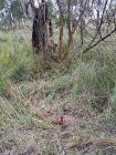 Lotes Terreno en La Esmeralda M325 S8 amojonado y al día La Esmeralda
